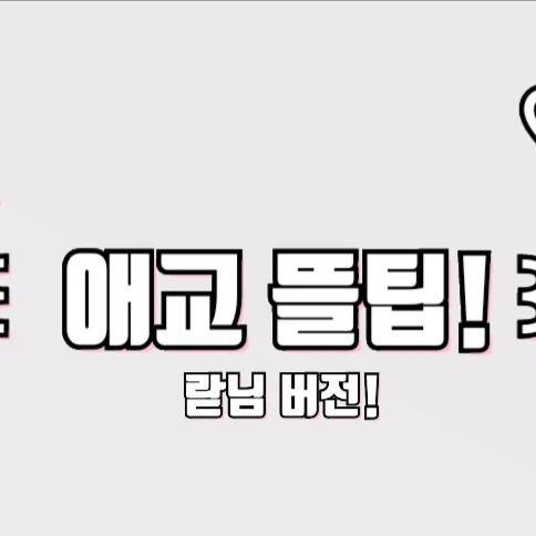 ꒰애교 뜰팁!꒱