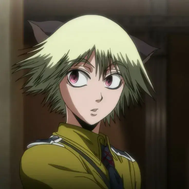 SillyTown0198의 Schrödinger Hellsing