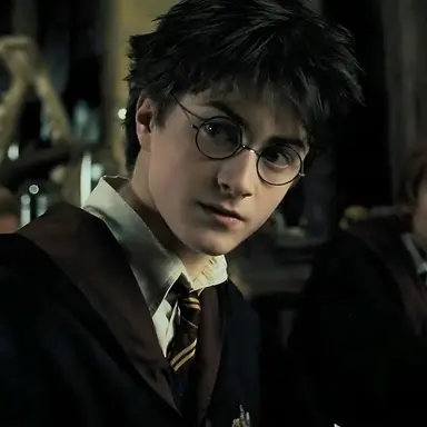 Profile image of Harry Potter