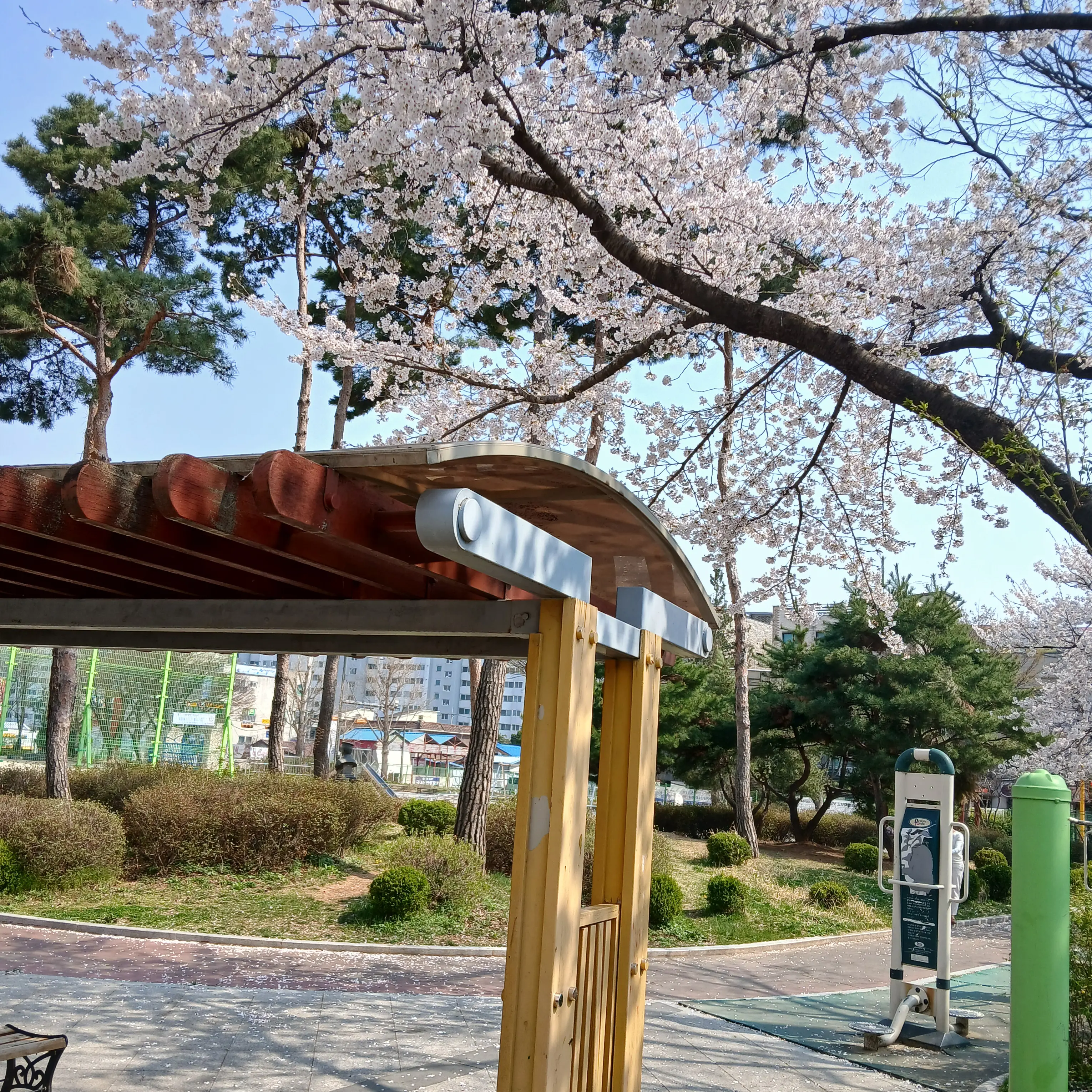 ShyStool6381의 폭풍같은 결혼생활