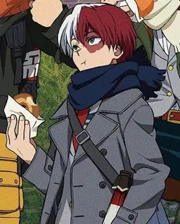 Profile image of Shoto Todoroki