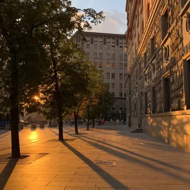 Profile image of 박덕개