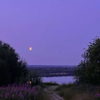 Profile image of 황수현