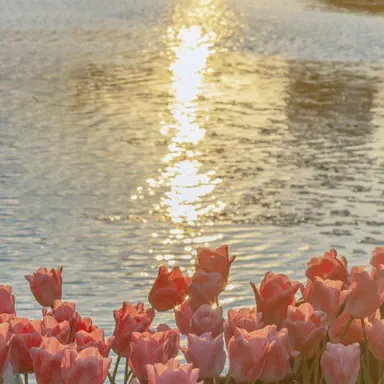 Profile image of 이서진