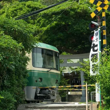 Profile image of 정공룡