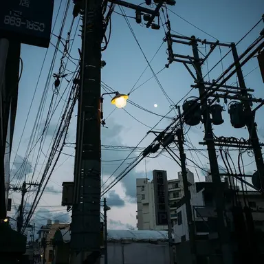 Profile image of 박잠뜰