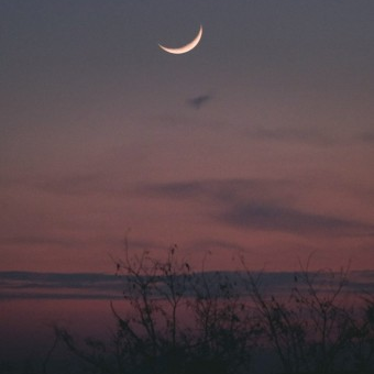 Stars the moon (스타 더 문) 대표 이미지