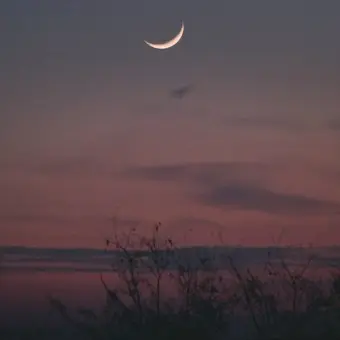 CARAT_DINO의 Stars the moon (스타 더 문)