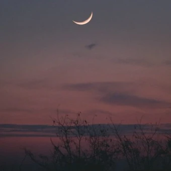 Stars the moon (스타 더 문)