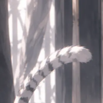 Profile image of ハクト