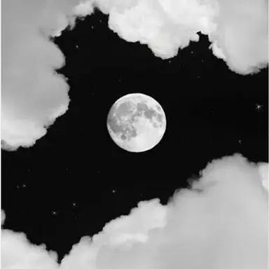 Profile image of 마노