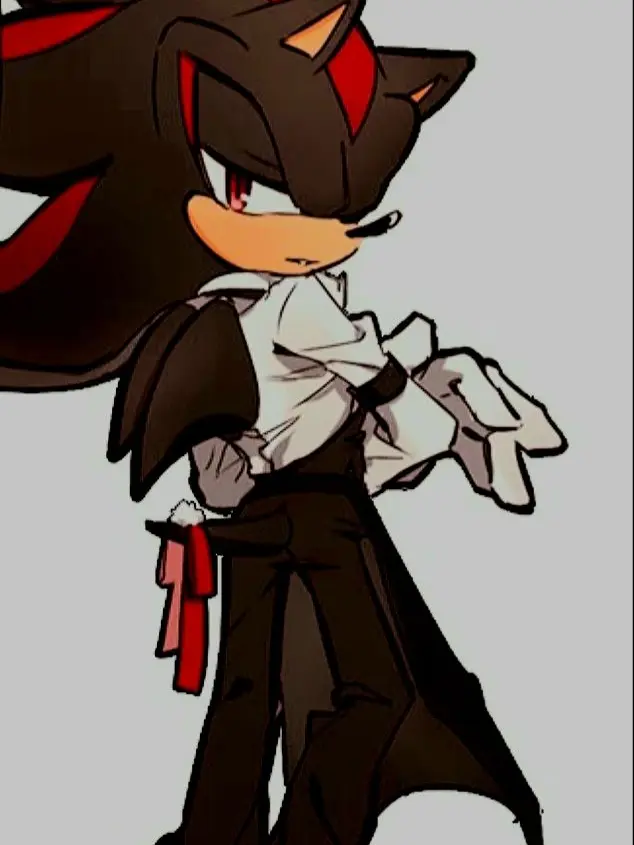 Kitty2shoe의 Shadow The Hedgehog for a Roommate