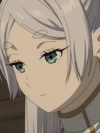 FickleSwing6900의 장송의 프리렌🌿