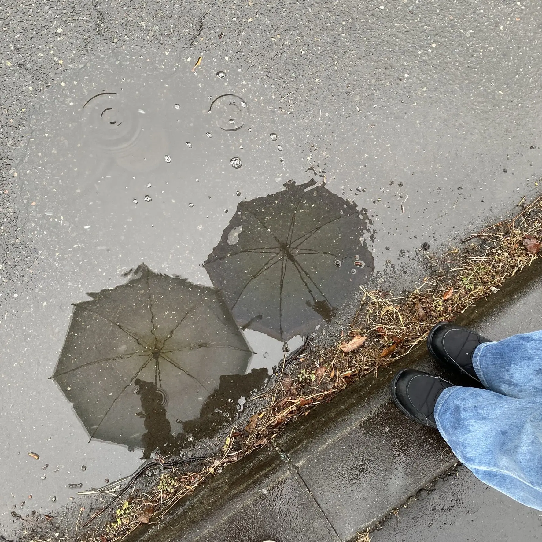 y_m1y159의 親友とHUNTER×HUNTERに転生…