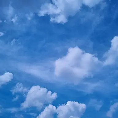 Profile image of 싸이코드