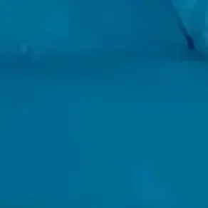 Profile image of 관장님