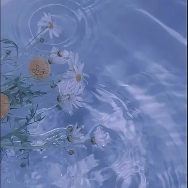 Profile image of 잠경위