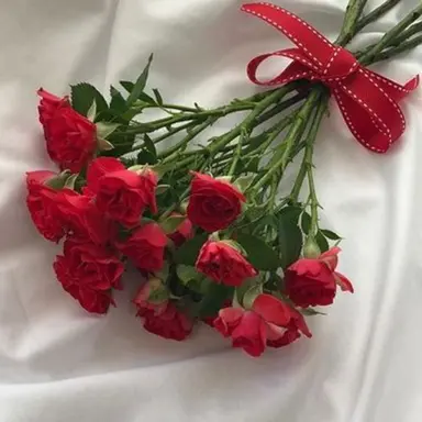 Profile image of 라경사