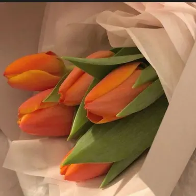 Profile image of 덕경장