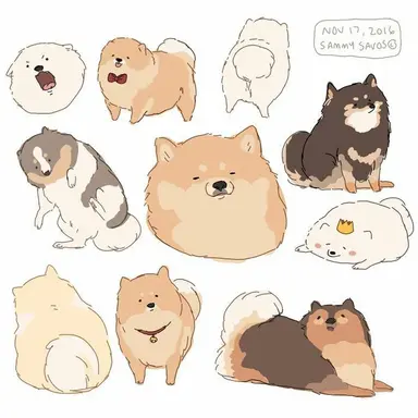 Profile image of 베이디