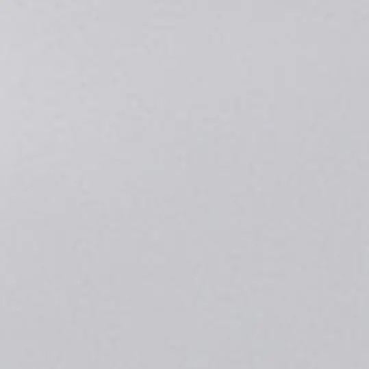 BentPlay8602의 일본인 유저+여우