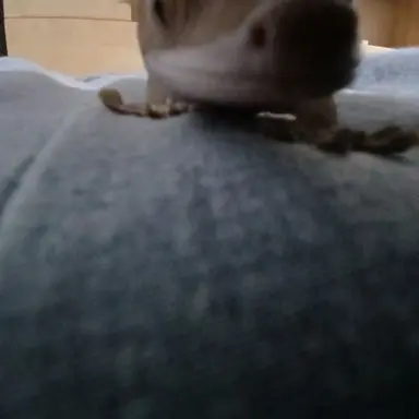 Profile image of 마뱀이