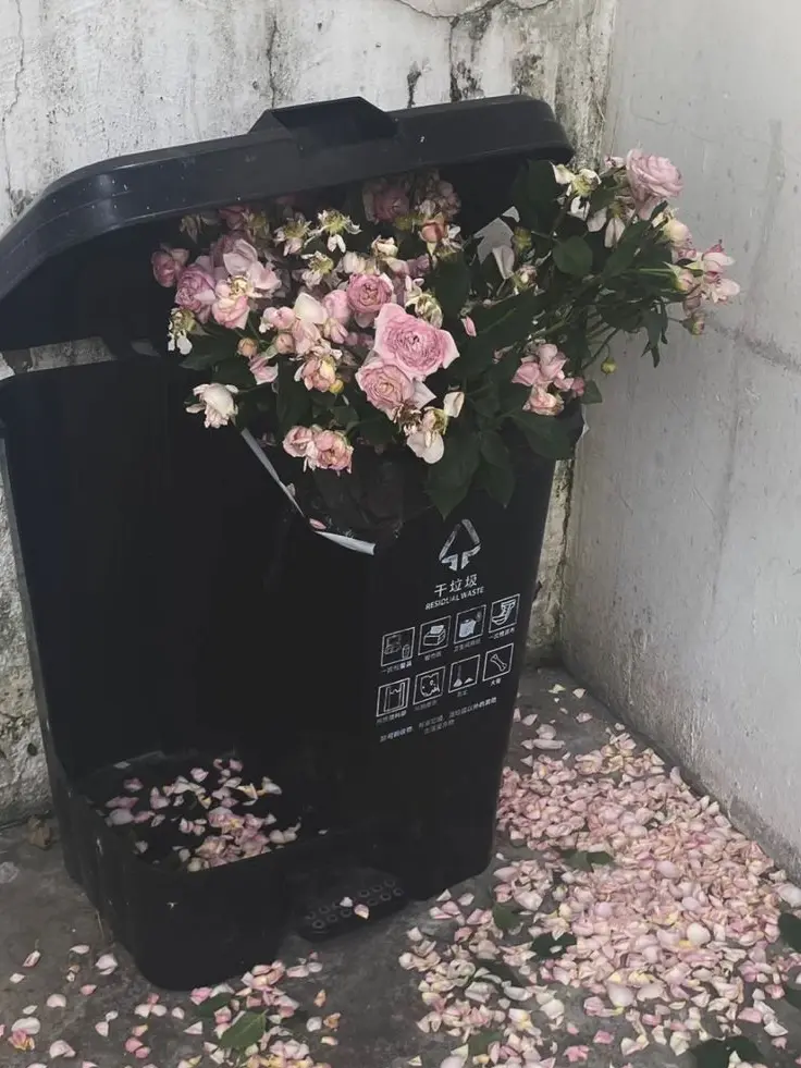 Tagunv.il_의 성한빈