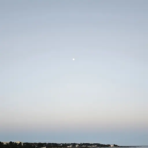 Lemongrabb의 니웬