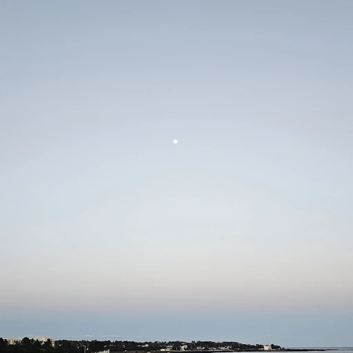 니웬