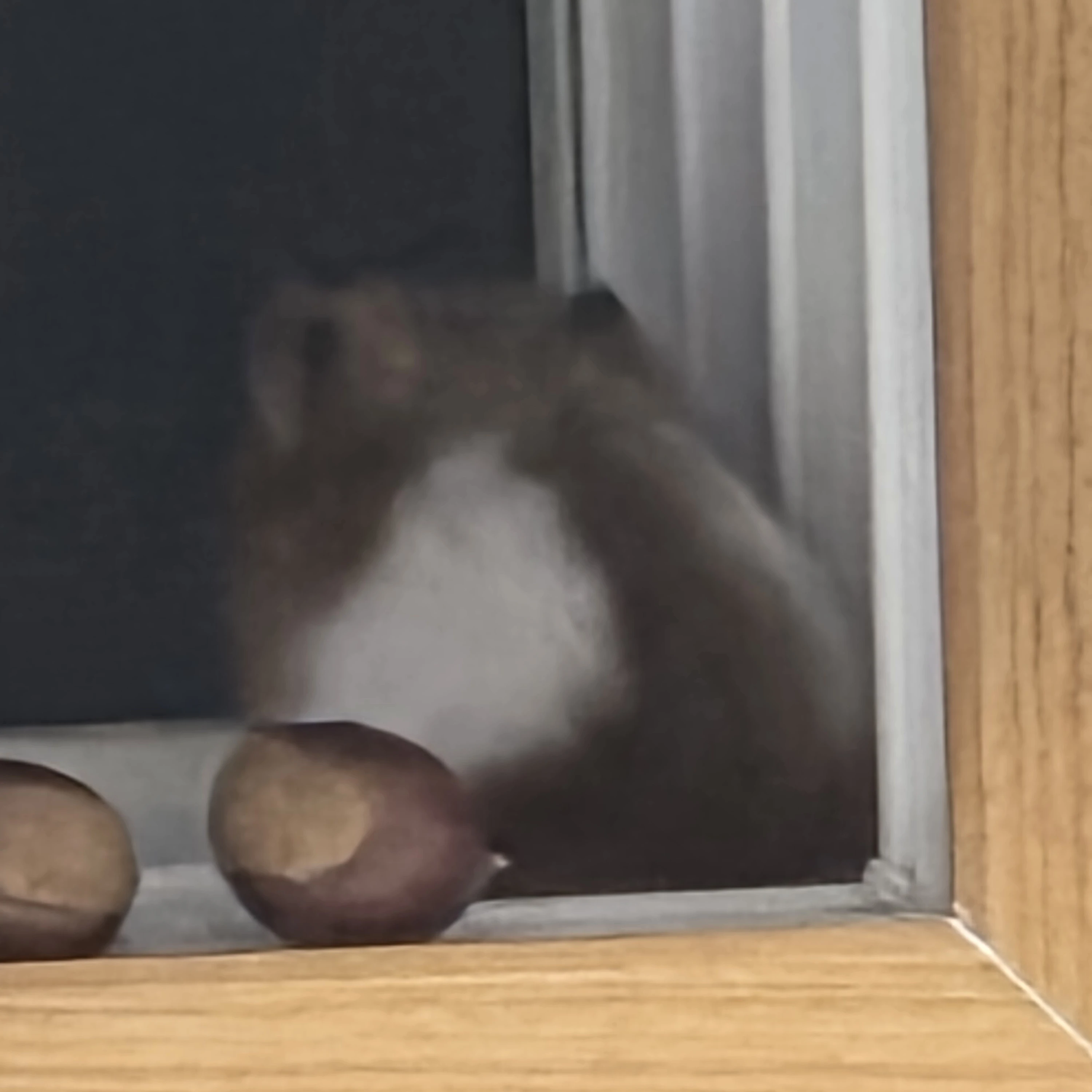 강태현 vs 최범규