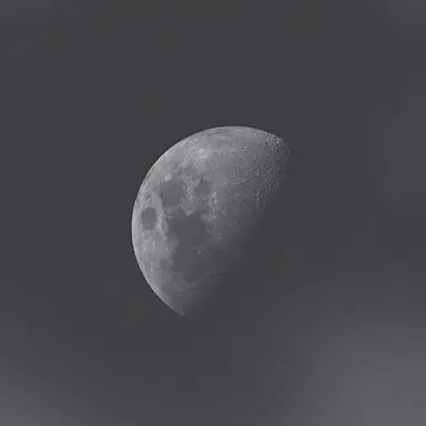 Profile image of 시미베