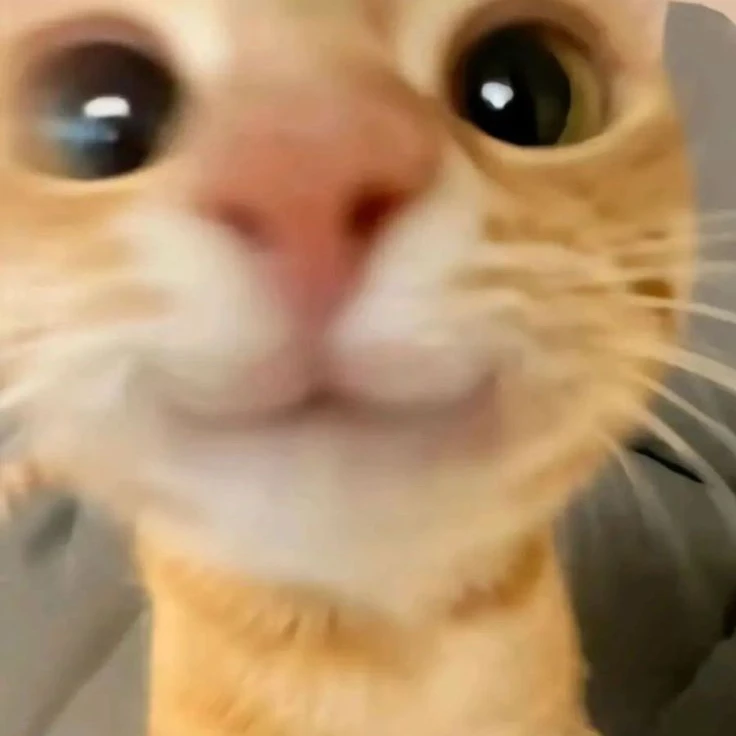 Sh