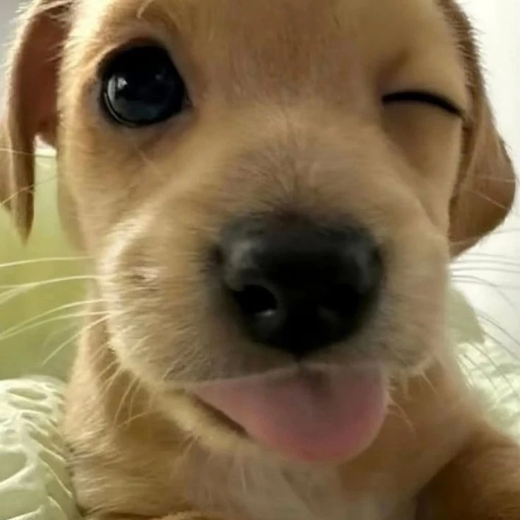 Jh