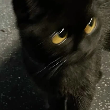 Ts
