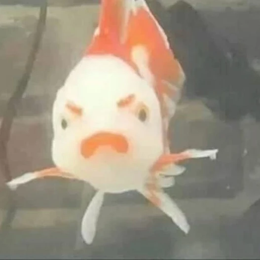 Lh