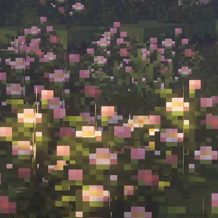 8080