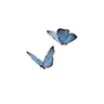 Profile image of 漣
