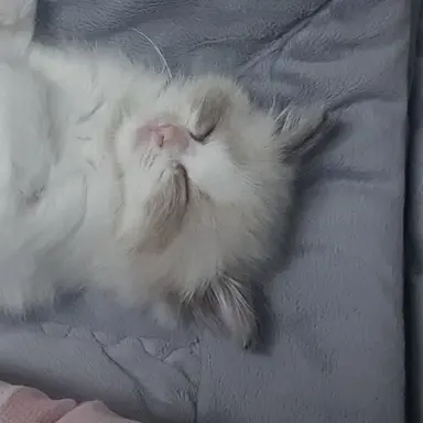 Profile image of 국악 뜰팁