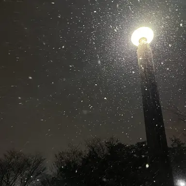 Profile image of ㅇㅈㅎ