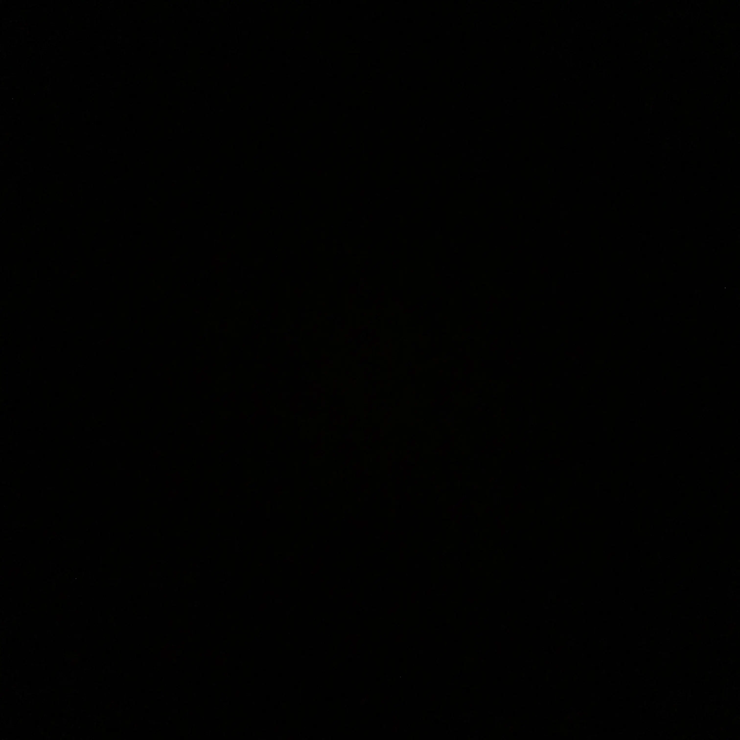 INFP_2561의 늑대..?