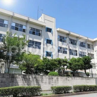 퓨어바닐라 쿠키