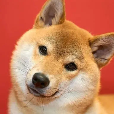Profile image of ジョン