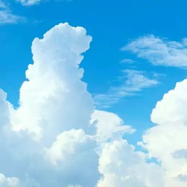 Profile image of 슬기로운 의사생활