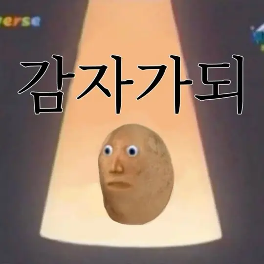 KISSYKISSY의 말하는 감자