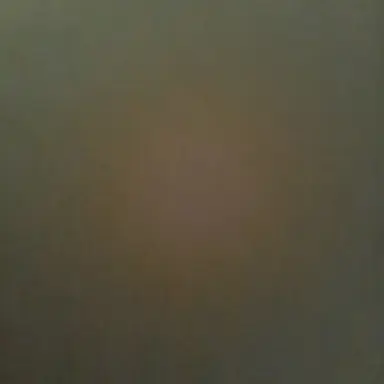 Profile image of 호싱이