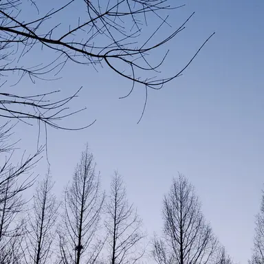 Profile image of 요정즈의 과외수업