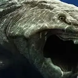 Profile image of ダンクルオステウス