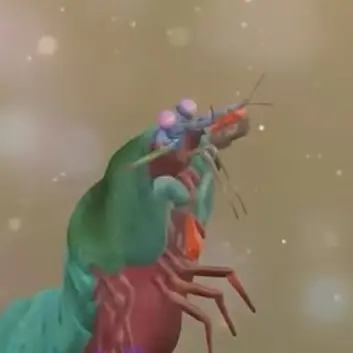 Profile image of モンハナシャコ