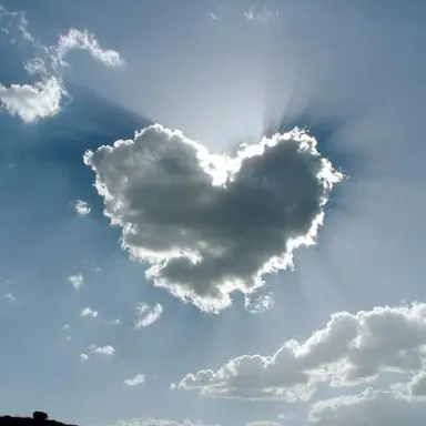 Profile image of 유지민