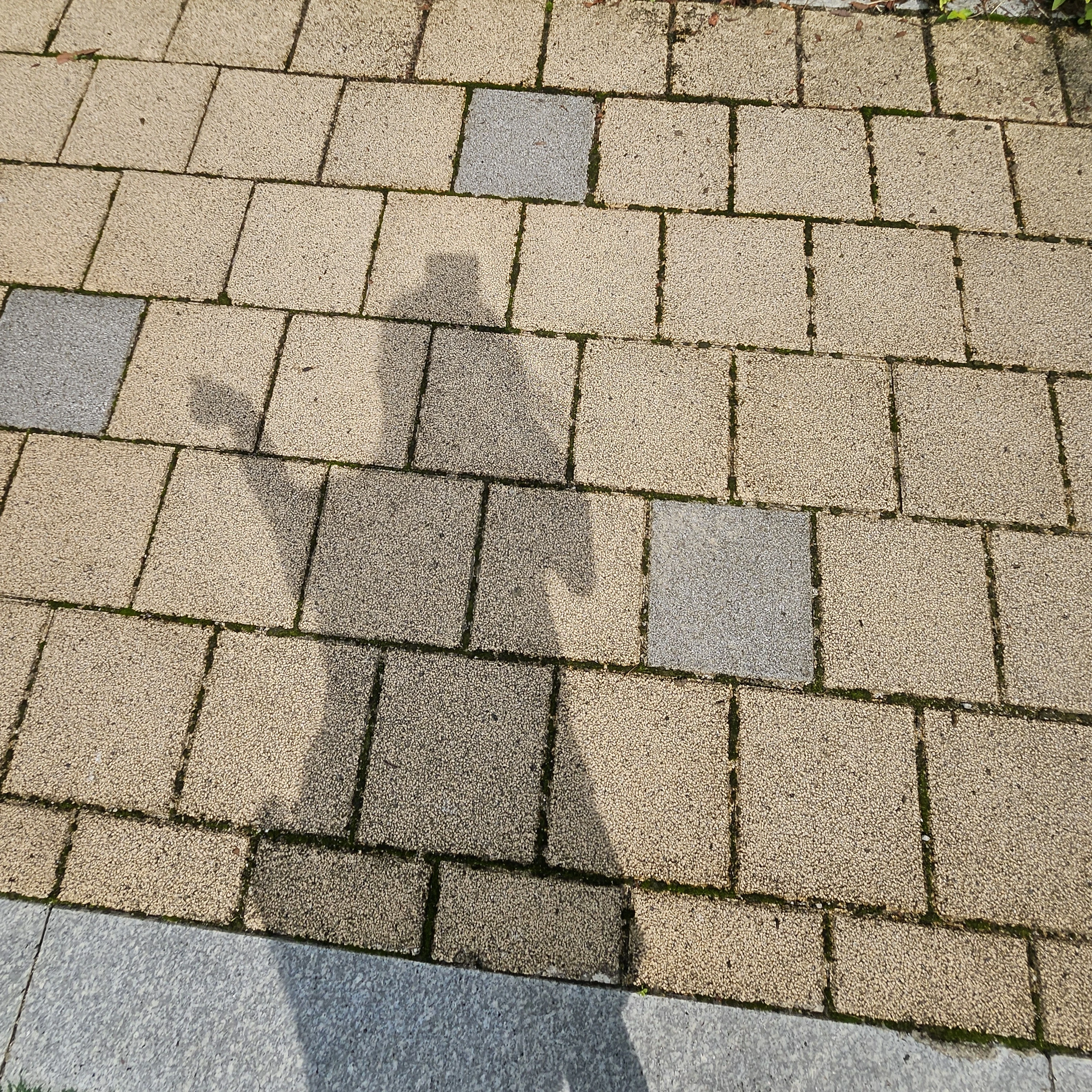 여우